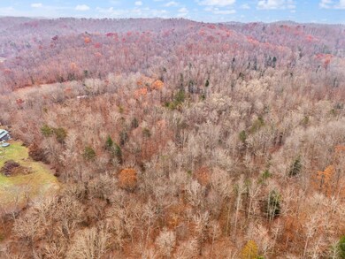 68 Acre Hwy 1709, Tyner, KY 40486 - photo 7