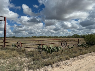 440 Norte Rd unit LOT 3 BLK 10 COLORAD, Laredo, TX 78044 - photo 4