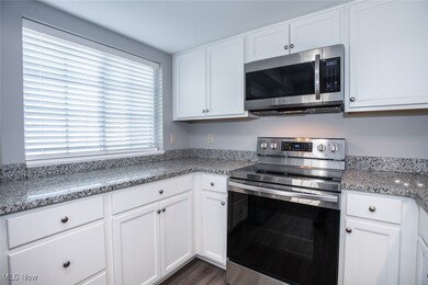 Chandlers Lane Condominiums unit 102, Olmsted Falls, OH 44138 - photo 2