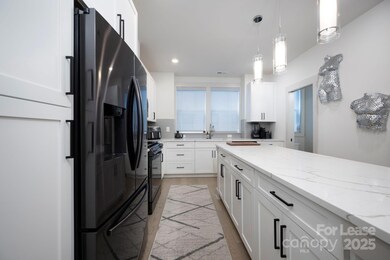 1033 Wesley Terrace Ave, Charlotte, NC 28208 - photo 4