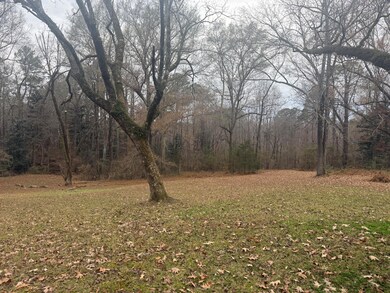 1000 Indian Creek Rd, Iuka, MS 38852 - photo 5