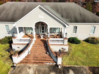 3330 Dreher Shoals Rd, Irmo, SC 29063 - photo 4