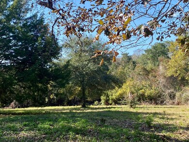 137 Old Creek Rd, Picayune, MS 39466 - photo 2