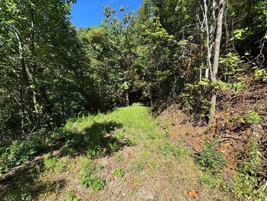 0 Burnt Leaf Ln unit 419226, Shooting Creek, NC 28904 - photo 7