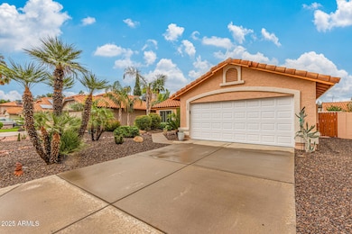 3425 E Sequoia Dr, Phoenix, AZ 85050 - photo 2