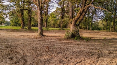 1755 State Hwy O- Tract B, Kissee Mills, MO 65680 - photo 2