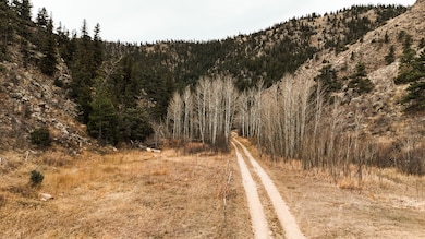 846 Boxer Ranch Rd, Livermore, CO 80536 - photo 2