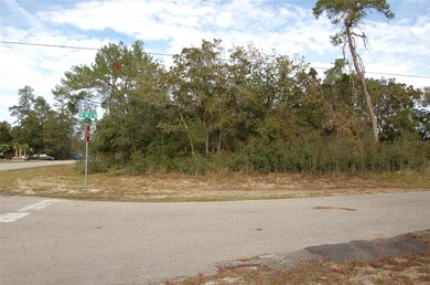 0 SW Marion Oaks Ln unit MFROM668948, Ocala, FL 34473 - photo 3