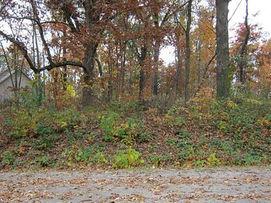 L74 Maltby Ln, Bella Vista, AR 72715 - photo 3