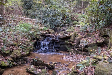 218 Hunter Valley Rd, Murphy, NC 28906 - photo 4