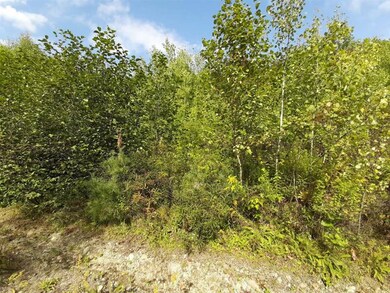 0 Richmond Rd unit 4829611, Winchester, NH 03470 - photo 3