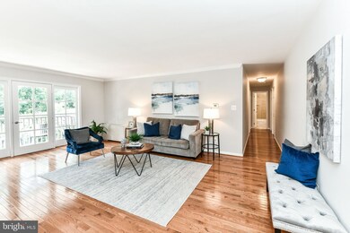 3336 Spring Ln unit A44, Baileys Crossroads, VA 22041 - photo 7