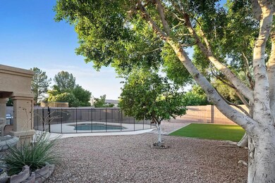 Backyard3