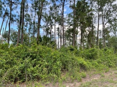 1808 Robert Ave, Lehigh Acres, FL 33972 - photo 2