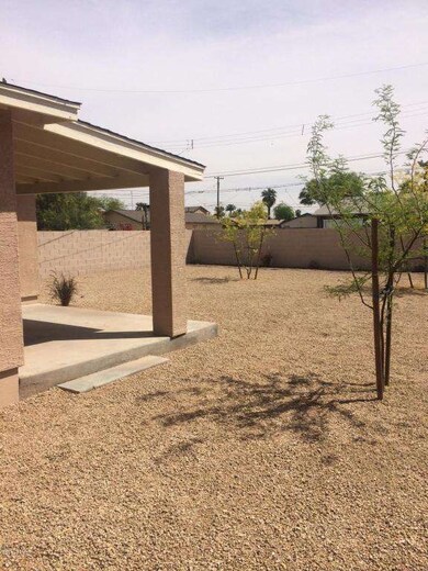 Back Yard Landcaping 3