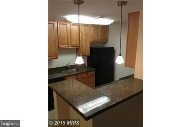 The Four Winds at Oakton unit B1, Oakton, VA 22124 - photo 4
