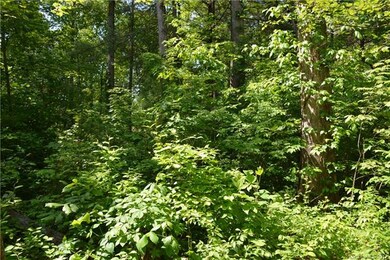 15 Carter Hill Dr, Leicester, NC 28748 - photo 7