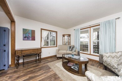 3533 W Queen Ann Ct, Peoria, IL 61615 - photo 7