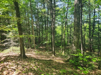 00 Fahi Pond Rd, Embden, ME 04958 - photo 4