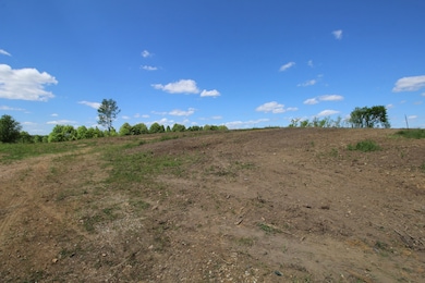 4773 McMinnville Hwy, Smithville, TN 37166 - photo 5