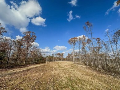 0 Firetower Rd unit 2, Centerville, TN 37033 - photo 6