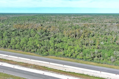 0 Everglades Pkwy, Naples, FL 34117 - photo 4