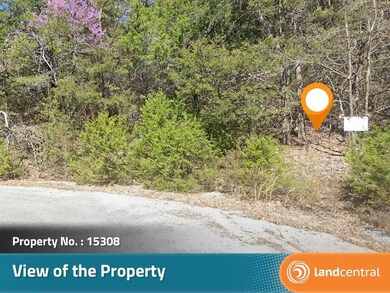 Blackfoot Dr, Holiday Island, AR 72631 - photo 4