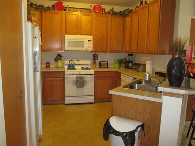 221 Springbrook Trail S, Oswego, IL 60543 - photo 5