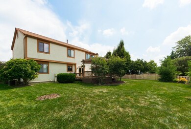 Exterior Rear
