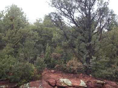 1002 S Montana Cir, Payson, AZ 85541 - photo 2