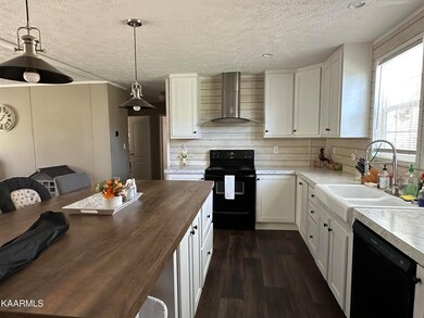 8618 Sevierville Pike, Knoxville, TN 37920 - photo 5