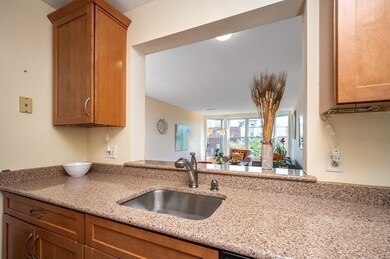 20 Chestnut St unit 41, Cambridge, MA 02139 - photo 5