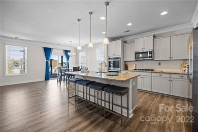 1734 Santa Clara Trace, Lake Wylie, SC 29710 - photo 4