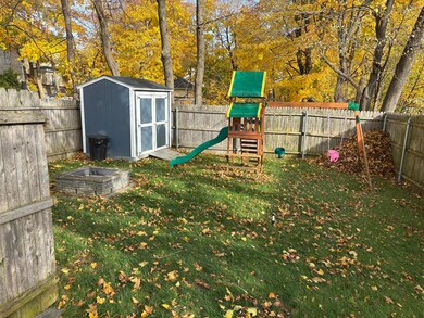 Backyard 1
