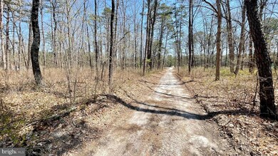 2118 Waverly Ave, Atco, NJ 08004 - photo 4