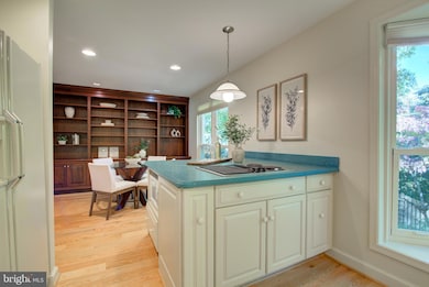 1423 Mclean Mews Ct, McLean, VA 22101 - photo 4