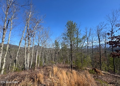 0 Overhill Way, Sevierville, TN 37876 - photo 7