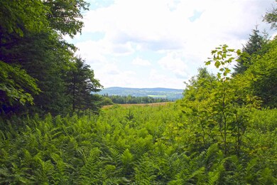 910 Maple Ln, West Danville, VT 05873 - photo 4