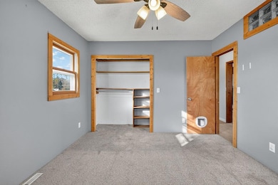 805 N Roche St, Knoxville, IA 50138 - photo 7