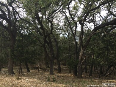 9202 Highlands Cove, Fair Oaks, TX 78006 - photo 3