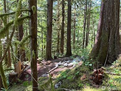 64308 Cascade River Rd unit 1L147, Marblemount, WA 98267 - photo 6