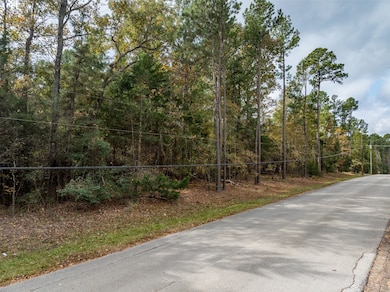 Lot 11 Pintail Dr, Flint, TX 75762 - photo 3