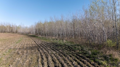 000 Crooked Lake Rd, Danforth Township, MN 55072 - photo 6