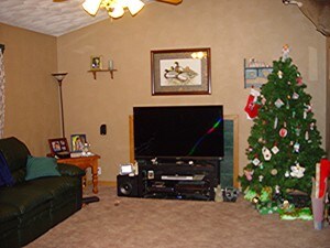 Living Room View 3