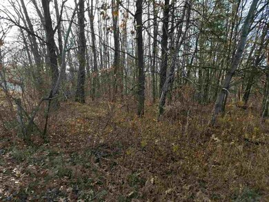 N7690 Us Highway 12/16, Camp Douglas, WI 54618 - photo 5