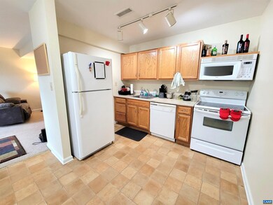 1518 Villa Terrace unit C, Charlottesville, VA 22903 - photo 6