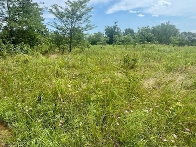 37 Red Bird Ln, Colbert, OK 74733 - photo 5