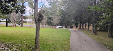 920 Wesleyan Dr, Macon, GA 31210 - photo 6