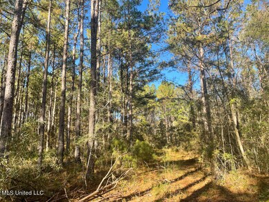 40 Ac Sally Parker Rd, Lucedale, MS 39452 - photo 2