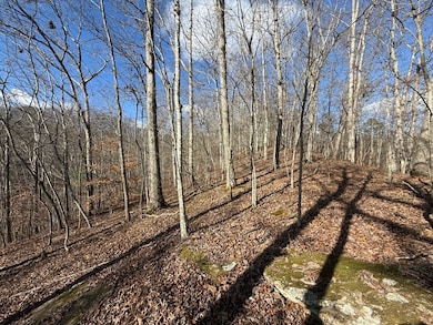 Rock Lick Lot unit Wp001, Jackson, KY 41339 - photo 5